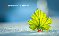 <b>新萝卜家园最新32位win7官网迷你版v2022.06</b>